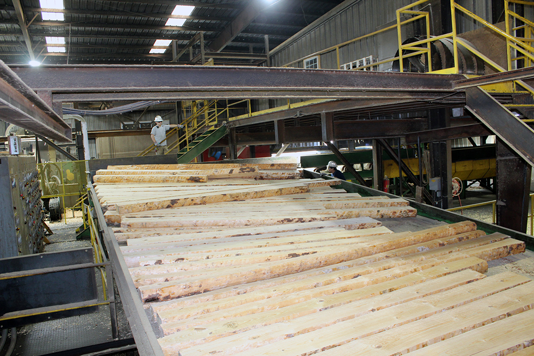 CordeleCrisp IDC advisors tour Griffin Lumber sawmill plant Cordele